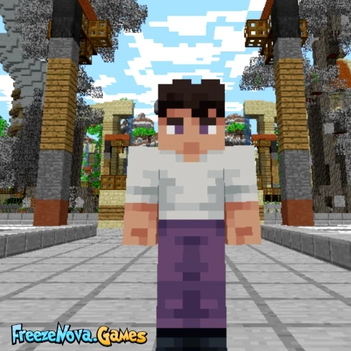 Pixelmon Town
